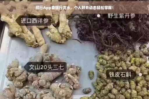 招行App查银行流水，个人财务动态轻松掌握！