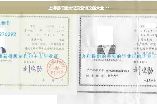上海银行流水记录查询攻略大全 ??