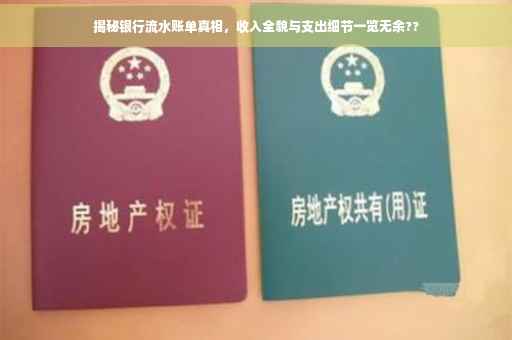 揭秘银行流水账单真相，收入全貌与支出细节一览无余??