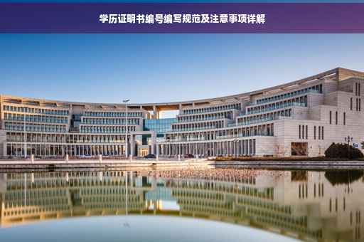 学历证明书编号编写规范及注意事项详解