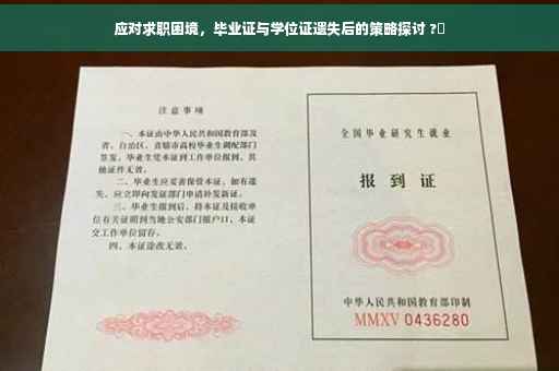 应对求职困境，毕业证与学位证遗失后的策略探讨 ?✨