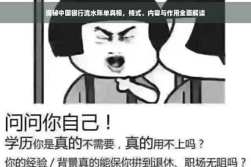 揭秘中国银行流水账单真相，格式、内容与作用全面解读