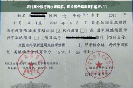 农村商业银行流水表详解，图片展示与重要性解析?⚡️