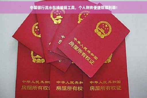 中国银行流水在线编辑工具，个人财务便捷管理利器！