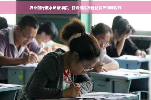 农业银行流水记录详解，能否消除及隐私保护措施探讨