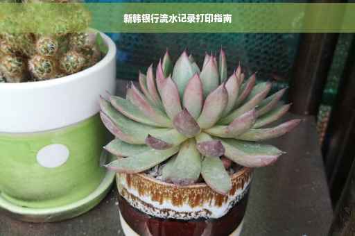 新韩银行流水记录打印指南
