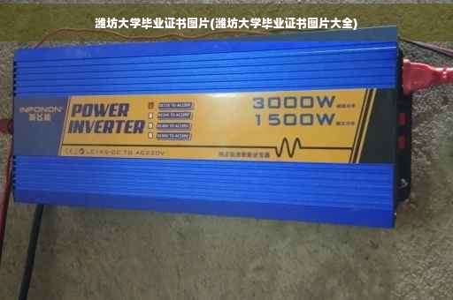 潍坊大学毕业证书图片(潍坊大学毕业证书图片大全)