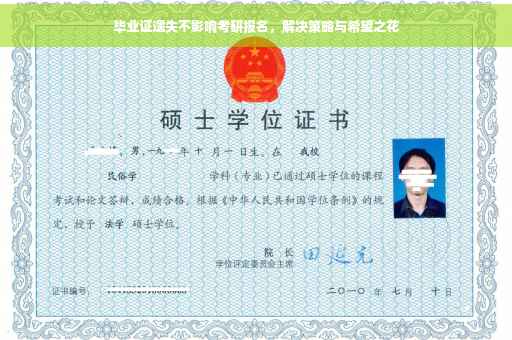 毕业证遗失不影响考研报名，解决策略与希望之花