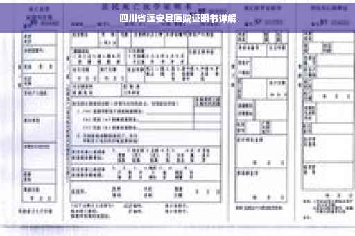 四川省蓬安县医院证明书详解