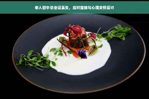 老人初中毕业证丢失，应对策略与心理关怀探讨