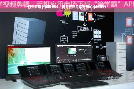 权责证明书深度解析，揭开权责关系背后的神秘面纱