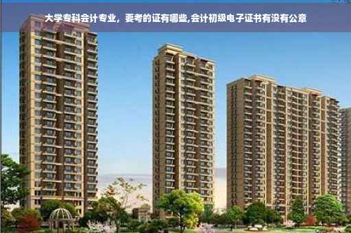 大学专科会计专业，要考的证有哪些,会计初级电子证书有没有公章