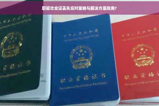 职称毕业证丢失应对策略与解决方案指南?
