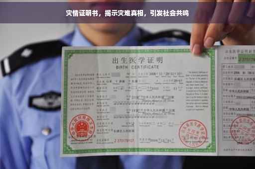 灾情证明书，揭示灾难真相，引发社会共鸣