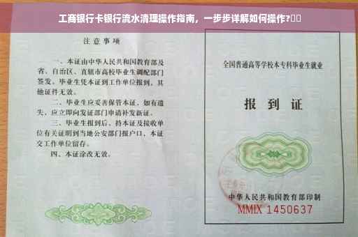 工商银行卡银行流水清理操作指南，一步步详解如何操作?⚡️