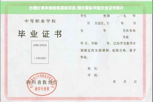 办理红黄本体检有哪些项目,烟台国际学院毕业证书图片