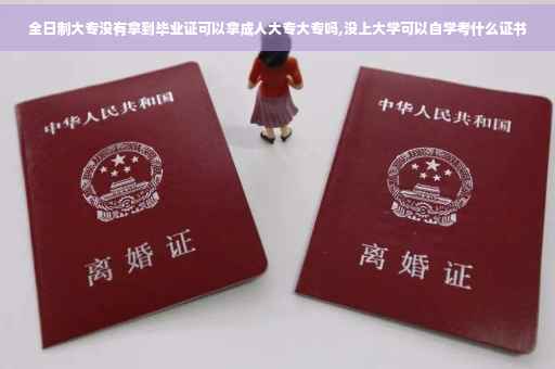 全日制大专没有拿到毕业证可以拿成人大专大专吗,没上大学可以自学考什么证书