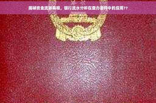 揭秘资金流转真相，银行流水分析在查办案件中的应用??