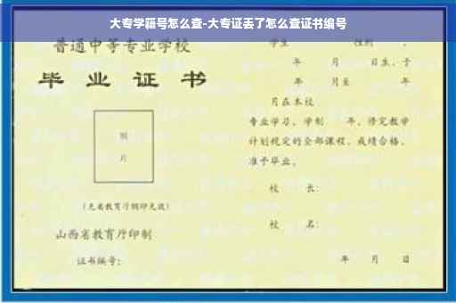 大专学籍号怎么查-大专证丢了怎么查证书编号
