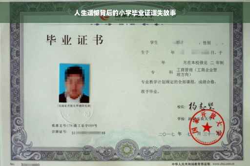 人生遗憾背后的小学毕业证遗失故事