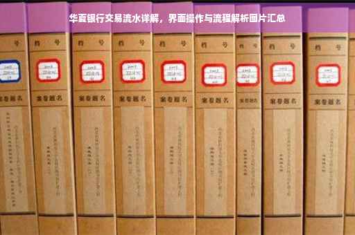 华夏银行交易流水详解，界面操作与流程解析图片汇总