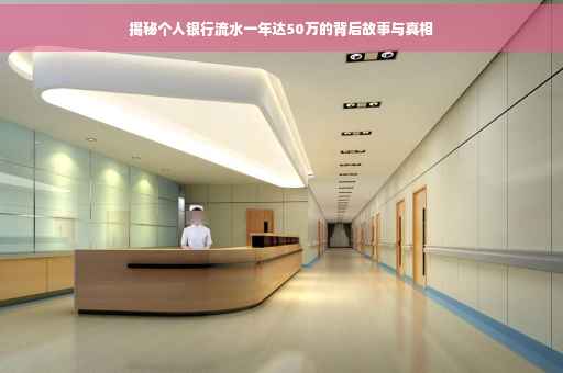 揭秘个人银行流水一年达50万的背后故事与真相