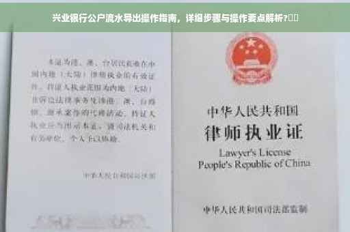 兴业银行公户流水导出操作指南，详细步骤与操作要点解析?⚡️