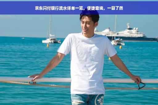 京东闪付银行流水详单一览，便捷查询，一目了然