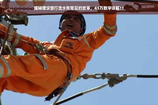 揭秘建设银行流水账背后的故事，45万数字详解??