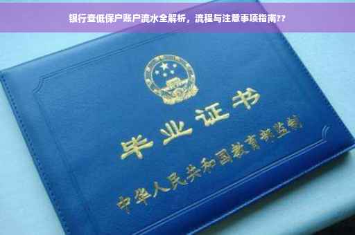 银行查低保户账户流水全解析，流程与注意事项指南??