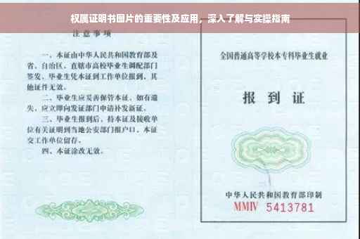 权属证明书图片的重要性及应用，深入了解与实操指南