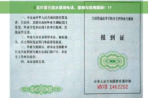 应对银行流水查询电话，策略与指南揭秘！??