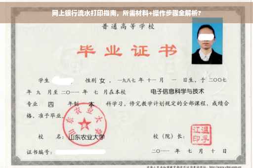 网上银行流水打印指南，所需材料+操作步骤全解析?