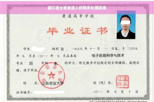 银行流水资金流入的账务处理指南