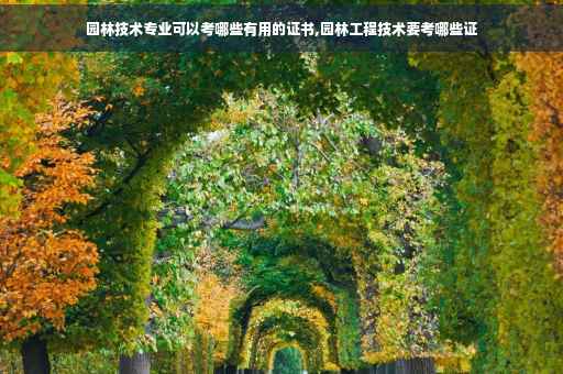 百家乐在线注册网址模拟人生4选哪个职业好