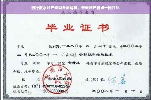 银行流水账户类型全面解析，各类账户特点一网打尽