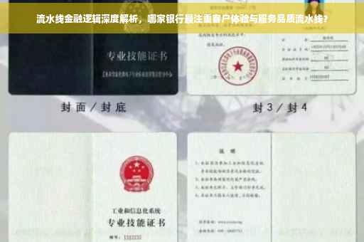 流水线金融逻辑深度解析，哪家银行最注重客户体验与服务品质流水线？