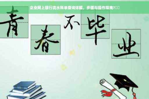 企业网上银行流水账单查询详解，步骤与操作指南?⚡️