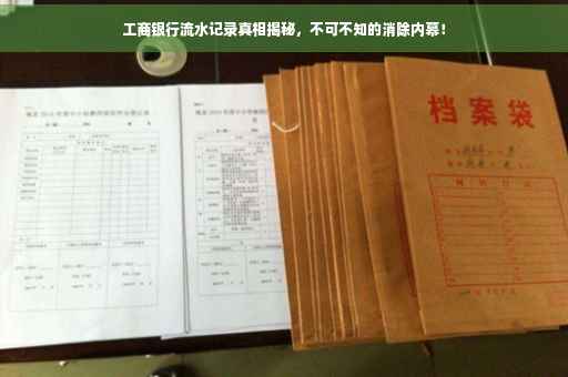 工商银行流水记录真相揭秘，不可不知的消除内幕！
