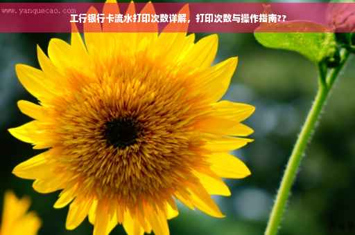 工行银行卡流水打印次数详解，打印次数与操作指南??