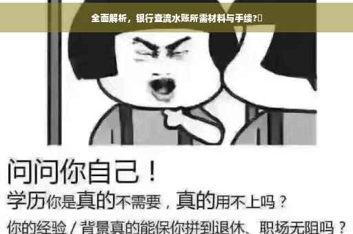 全面解析，银行查流水账所需材料与手续?✨