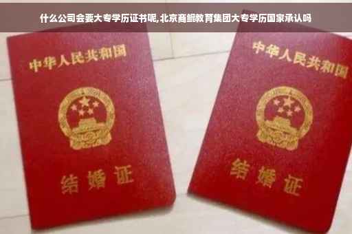 什么公司会要大专学历证书呢,北京商鲲教育集团大专学历国家承认吗