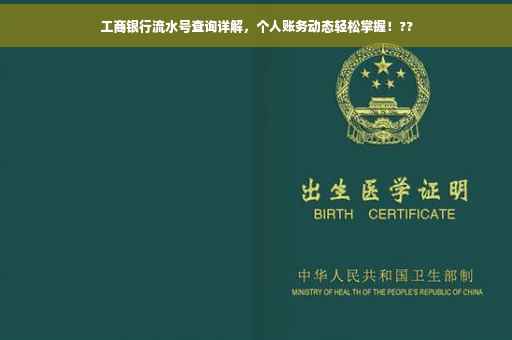 工商银行流水号查询详解，个人账务动态轻松掌握！??