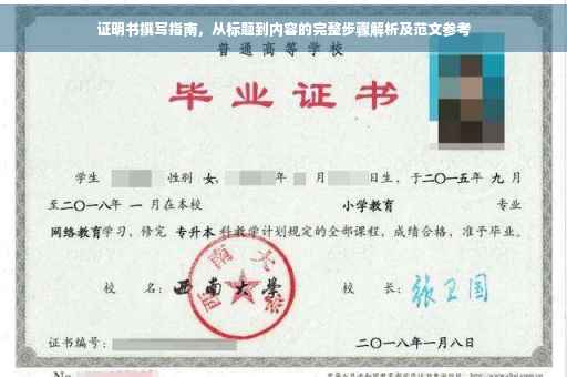 证明书撰写指南，从标题到内容的完整步骤解析及范文参考