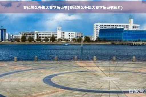 专科怎么升级大专学历证书(专科怎么升级大专学历证书图片)