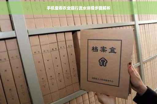 手机查看农业银行流水详细步骤解析