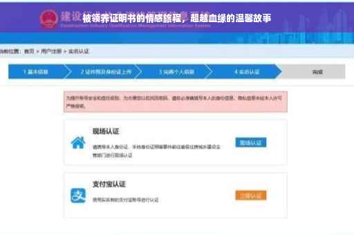 被领养证明书的情感旅程，超越血缘的温馨故事