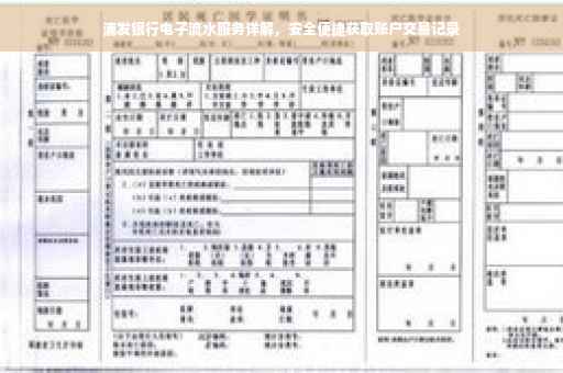 浦发银行电子流水服务详解，安全便捷获取账户交易记录