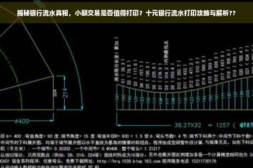 揭秘银行流水真相，小额交易是否值得打印？十元银行流水打印攻略与解析??