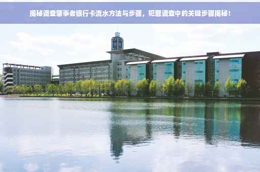 揭秘调查肇事者银行卡流水方法与步骤，犯罪调查中的关键步骤揭秘！